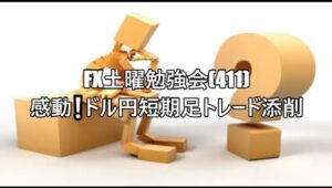 FX土曜勉強会(411)感動❕ドル円短期足トレード添削