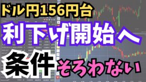 【2024年5月21日】ドル円156円台  米利下げ  条件そろわない　今週はFOMCメンバーの発言機会が多数　温度差はあるものの利下げ開始に条件がそろわないが着地点　全体をまとめます