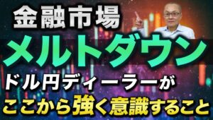 【2024年8月5日】金融市場メルトダウン  ドル円ディーラーがここから強く意識すること　結果からいえばそれは変動率と8月の経験則　ざっとまとめていきます