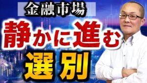 【2024年11月12日】金融市場  静かに進む選別 米大統領選後に金融市場で極端に進むのが金融商品の選別　商品別に伸びしろを探る展開継続でしょう