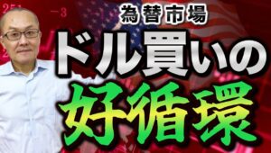 【2024年11月13日】為替市場  ドル買いの好循環　相対通貨による濃淡はあるものの昨日もドルが全面高　財政拡張的な政策がすぐそこに迫り金利は低下しにくい　低変動率も手伝いドル買いには好循環