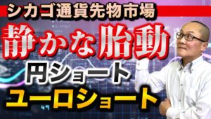 【2024年11月4日】シカゴ通貨先物市場  静かな胎動  円ショート  ユーロショート 今年後半になりこのIMM残高に大きな調整の波が到来しています　現状点検をしておきます