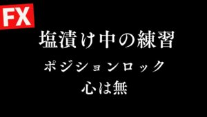 【FX】塩漬けポジロックして淡々と練習 ドル円152円台 普段のチャレンジ一時中止 FXスキャルピング&デイトレード 2/12