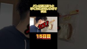 パンに悪口言うと早くカビるらしい検証15日目　#パン　#言霊　#検証　#継続は力なり