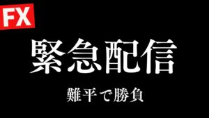 【FXライブ】朝起きたら―２００万トランプ砲直撃 戦略的難平でプラテンなるか？ 4/23 8:50