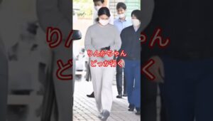 佐藤凛果容疑者　どっか行く