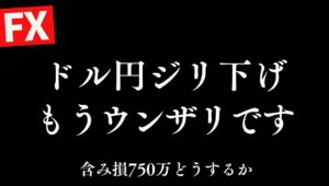 【FX】 含損800万迫る。まいった。反発全くなしのドル円。どこで切るか。早退すると思います。6/24 21:00