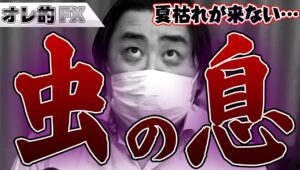 FX、ユーロ円の上昇が止まらなくて虫の息！夏枯れが来ない！！！