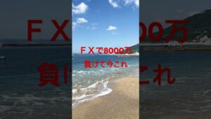 ＦＸで8000万負けて今これ #fx #投資