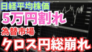 【2025年11月5日】日経平均株価5万円割れ　為替市場  クロス円総崩れ  為替市場では円は独歩高　背景は複数　英国の緊縮財政への思惑からポンド円が急落　高市トレードも巻き戻し　変動率は急上昇