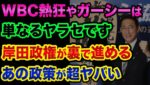 WBC熱狂やガーシーはヤラセです？岸田政権が裏で進める憲法改正と緊急事態条項が超ヤバい【 株 FX 都市伝説 中国 憲法 ヤラセ 】