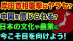 岸田首相襲撃はヤラセです？「何もかも信じられない世の中」だからこそ、まずはコレをやろう【 日経平均 都市伝説 FX 株 予言 中国 韓国 襲撃 】