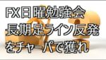 FX日曜勉強会 長期足ライン反発をチャーパで獲れ