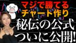 【初心者必見】100万以上稼げる秘伝の公式ついに公開！チャート作りは大事です[バイナリーオプションLife]【バイウィニング】【攻略法】【必勝法】