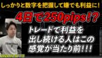 たった4日で250pips⁉ 突き詰めればあなたも勝てるようになります！ #5 fx