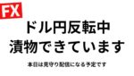 【FXライブ】すみません漬物中。建玉決済後トレード予定ですが、見守り→早期終了となる可能性があります。普段は毎夜２０万円稼げるか挑戦中！デイトレ＆スキャルピング6/5 21:15
