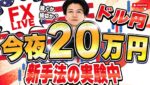 【FXライブ】淡々と新手法実験中！今夜は20万円稼げるかチャレンジ！ニューヨークタイムデイトレ＆スキャルピング7/4 21：00〜