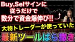 【全員プレゼント】サインに従うだけで2日で資金2倍、1日10万達成させて最強ツール