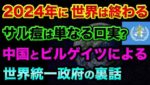 2024年に世界は終わる。サル痘は単なる口実？WHOパンデミック条約は中国と予言者Bによる世界統一政府への動きなのか？渋沢栄一と福沢諭吉の超ヤバい裏話【 都市伝説 日経平均 サル痘 予言 参院選 】