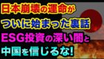 日本崩壊の運命が「ついに始まった」裏話。スリランカの国家破産に学ぶべき、ESG投資の深い闇と中国を信じたらヤバすぎる。日本仏教の歴史と超ヤバい裏話【 日経平均 中国経済 ESG投資 都市伝説 仏教 】